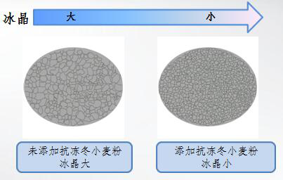 説明画像1